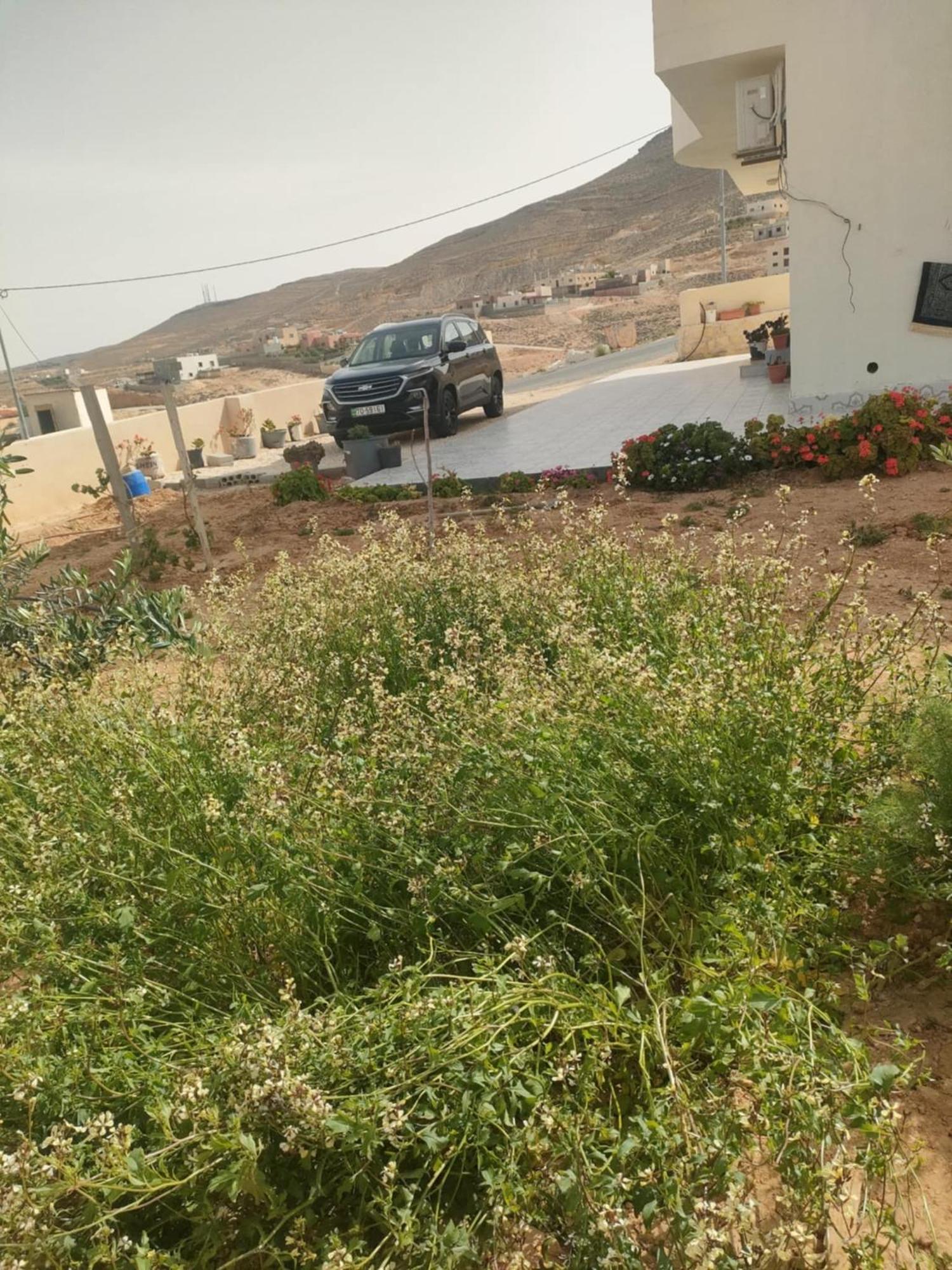 Darkum Apartment Wadi Musa Luaran gambar